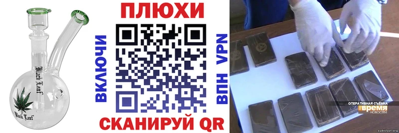 ГАШ Premium Рассказово