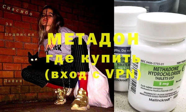 прущие грибы Мегион