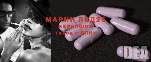 спиды Магас