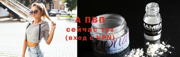 спиды Магадан