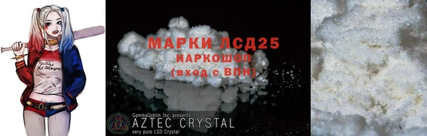 спиды Магас