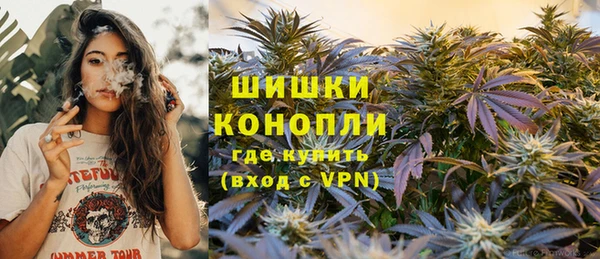 прущие грибы Мегион