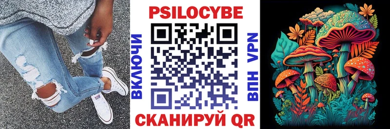 закладки  Рассказово  Галлюциногенные грибы Psilocybe 